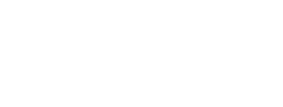 The Dolan Group logo